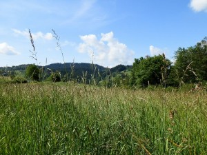 beskid wyspowy 63 (1)